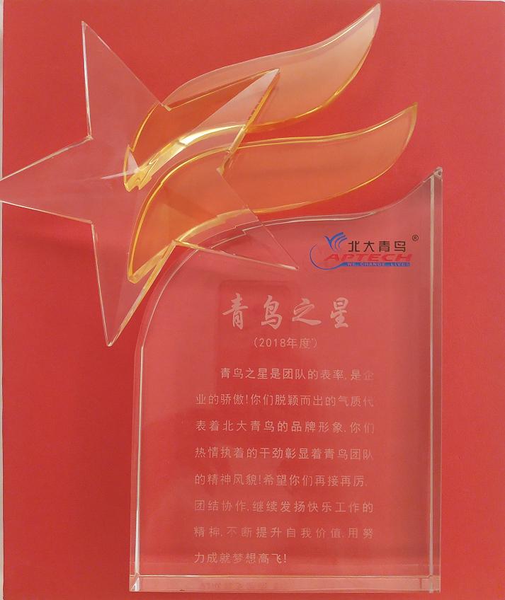 2018年會(huì)時(shí)北大青鳥鄭州翔天信鴿再獲總部多重大獎(jiǎng)表彰