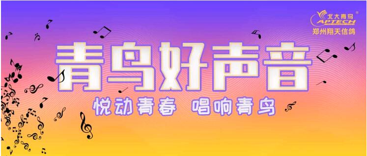 鄭州北大青鳥翔天信鴿青鳥好聲音晉級賽