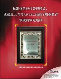 中國(guó)IT教育與培訓(xùn)服務(wù)市場(chǎng)年度成功企業(yè).jpg